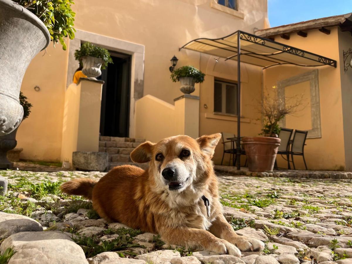 Agriturismo Castello Santa Margherita Cori Exteriér fotografie